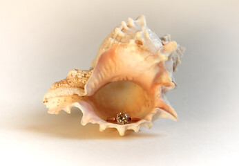 gold ring with diamond stone next to seashell valentine's day romantic gift isolated on white background