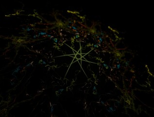 Imaginatory fractal background Image