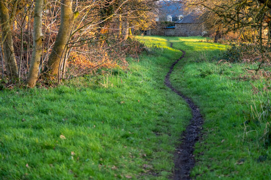 Chemin qui serpente dans la clairi&egrave;re