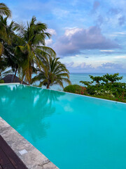  View of palms and the ocean from infinity pool with turquoise water 