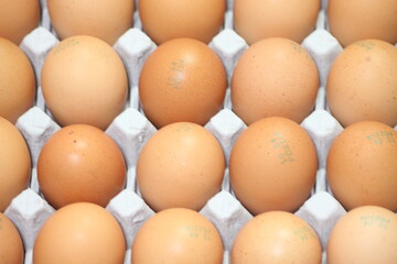 Closeup view with selective focus on fresh farm chicken eggs in an egg-carton