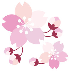 可愛くて綺麗な桜のイラスト