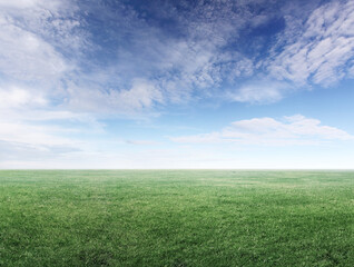 Obraz na płótnie Canvas Image of green grass field and cloudy sky