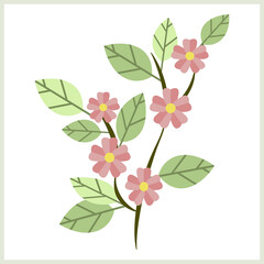 Blooming apple twig with flowers.