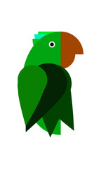 green parrot on white background