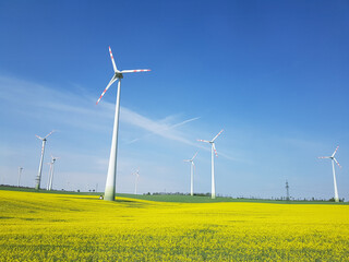 Wind power plants in a field of yellow flowers under a blue sky.