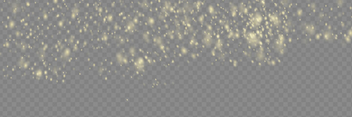 Sparkling magical dust particles . The dust sparks and golden stars shine with special light.