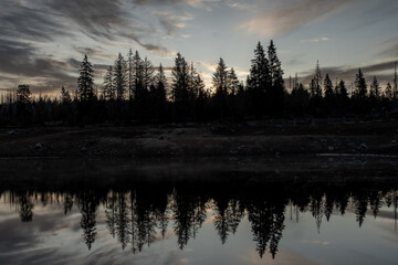 Wald am See im Harz