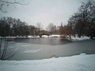 View of the snow-covered pond after the onset of winter February 2021 in Clara Park in Leipzig