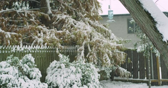 Snowy Backyard During Big Winter Storm