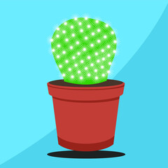 cactus in a pot
