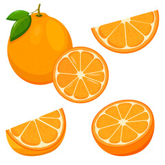 Set of fresh whole, half, cut slice orange fruit isolated on white background. Tangerine. Organic fruit. Flat style. Vector illustration for any design.
