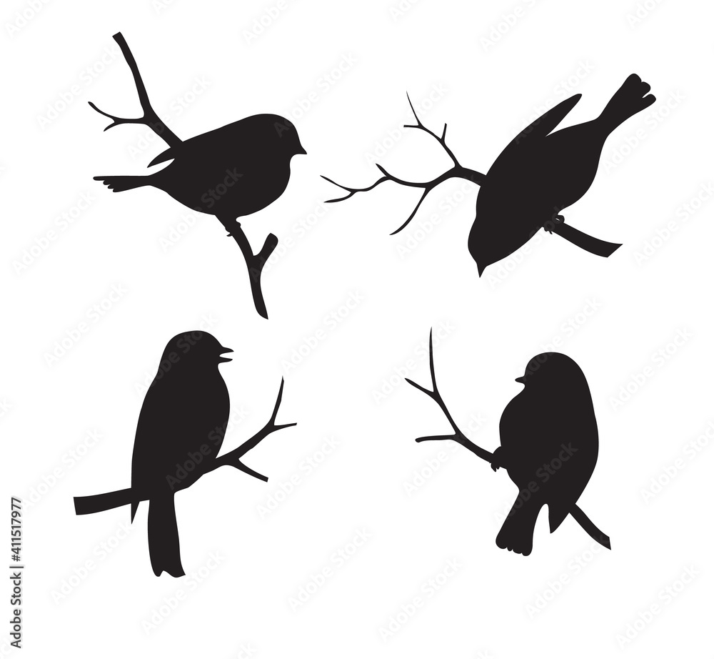 Poster set of forest bird sitting on twig silhouette. collection of decorative bird icon. vector stock illu