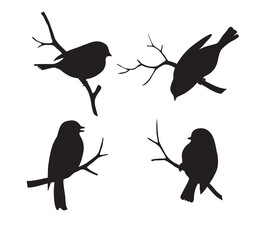 Set of forest bird  sitting on twig silhouette.  Collection of decorative bird icon. Vector stock illustration.		