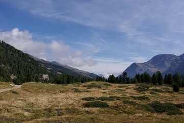 Fototapeta premium Martelltal