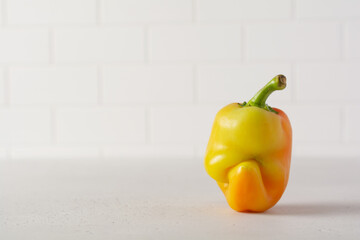 Ugly pepper that looks like a strange face on a light table. Funny, unnormal vegetable or food...