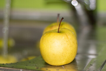 yellow apple on a green background