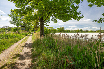 Frühling in der Lausitz