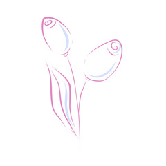 Vector line art rose clip art isolated on white background. Outline pink and blue flower illustration for card, invitation, wedding, design and decoration. 