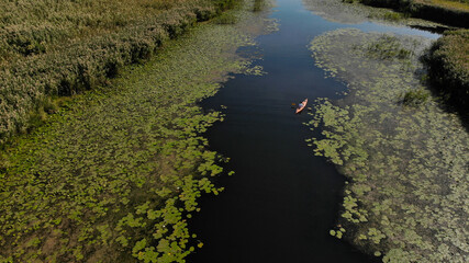 Aerial view of young man floats on an orange kayak on the overgrown river. The banks of the river are overgrown with reeds. Ukraine, Europe