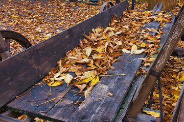 Leiterwagen im Herbst mit Laub und Blätter, Herbststimmung, Kahla, Thüringen, Deutschland