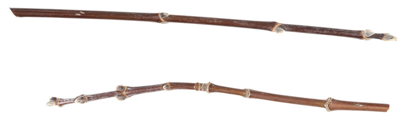 Dry tree twigs branches isolated on white background. pieces of broken wood plank on white background. close-up