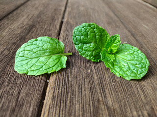 mint on wooden background