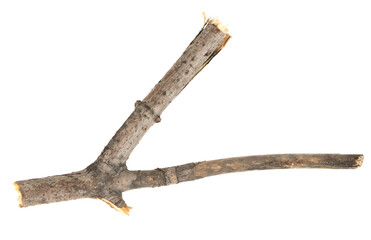 Dry tree twigs branches isolated on white background. pieces of broken wood plank on white background. close-up
