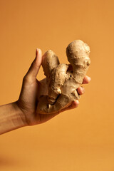 Studio shot of female hand holding ginger root isolated over orange background. Healthy lifestyle concept