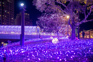 冬の小倉イルミネーション夜景