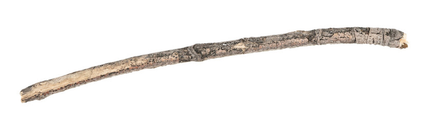 Dry tree twigs branches isolated on white background. pieces of broken wood plank on white background. close-up