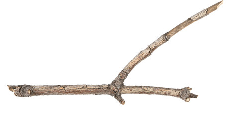 Obraz premium Dry tree twigs branches isolated on white background. pieces of broken wood plank on white background. close-up