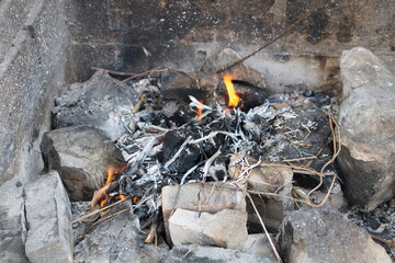 Varias de naturaleza campo de Málaga