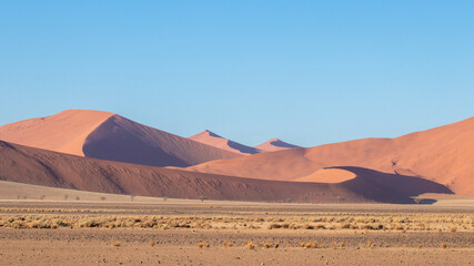 Fototapeta na wymiar Red dunes of Namib Desert near Sossusvlei, Namib-Naukluft National Park, Namibia, Africa.