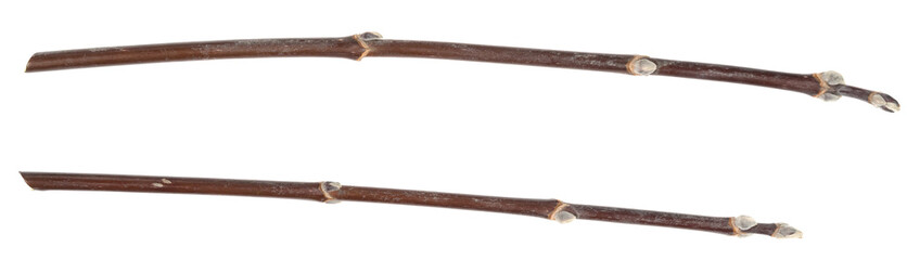 Dry tree twigs branches isolated on white background. pieces of broken wood plank on white background. close-up