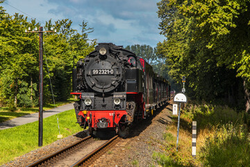 Fototapeta na wymiar German narrow gauge steam tourist locomotive