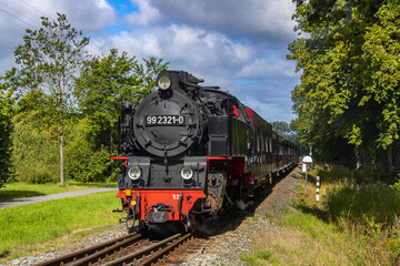 
German narrow gauge steam tourist locomotive