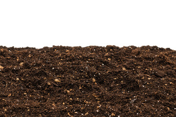 Black land for plant.