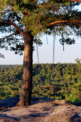 Swing in the Fontainebleau forest. Bombarde  view