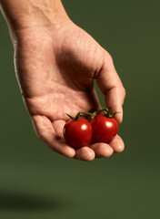 Studio shot of two red cherry tomatoes on male hand isolated over green background. Healthy eathing, harvesting concept