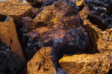 Chaga mushroom. A pile of pieces natural birch fungus chaga.