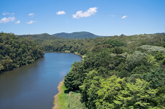 Barron River And Rainforest