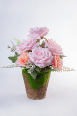 pink and white flowers in vase on white background