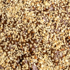 Chocolate cream with hazelnut
