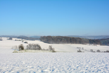 Fototapeta na wymiar Snow landscape with fields , forest and blue sky