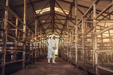 Spraying disinfectant for protection pandemic of disease in cattle farm.