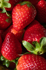 Fresas