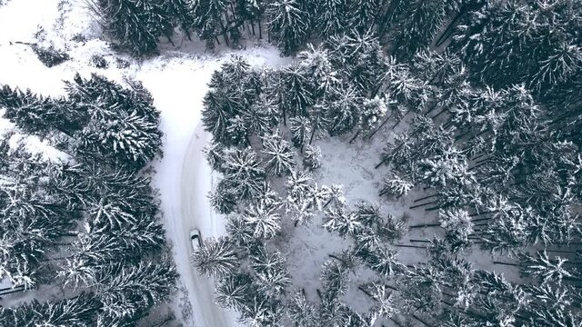 overhead top view of car moving by snowed road between pine trees in mountains.