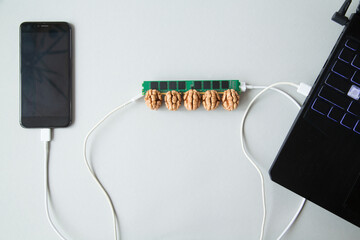 RAM inserted in walnut kernels controls laptop and smartphone via cables on gray background