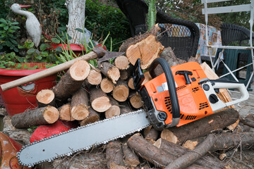 Cutting winter wood for the fireplace with a gasoline chainsaw